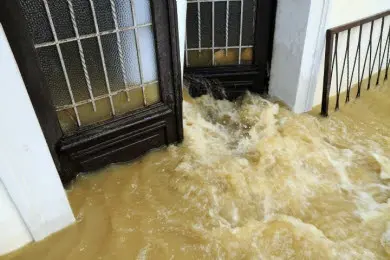 Water damage restoration